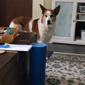 Meet your Posher, Martha